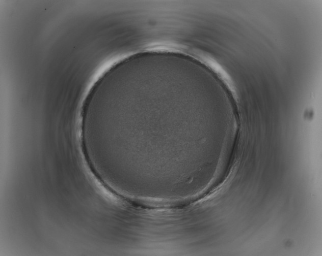 X0000094441376200711081239