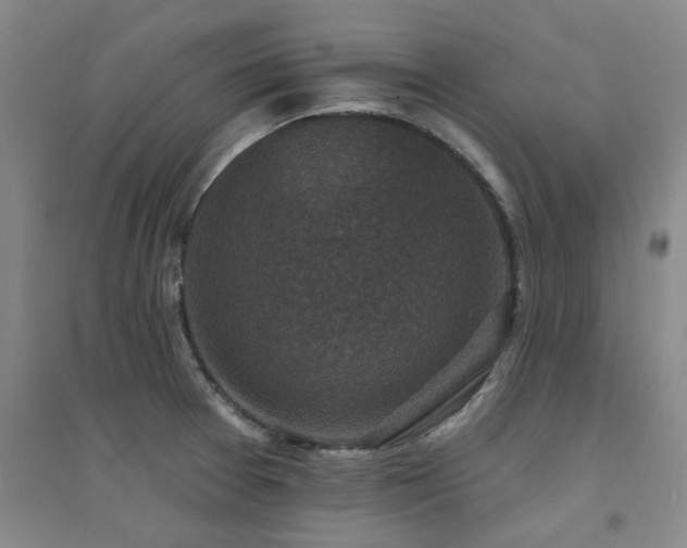 X0000094441377200711081239
