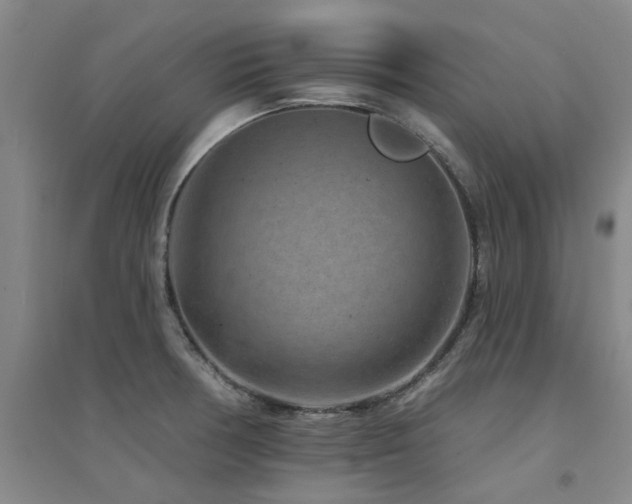 X0000094441378200711081239
