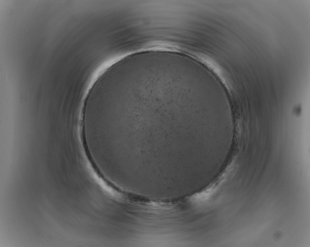 X0000094441379200711081239