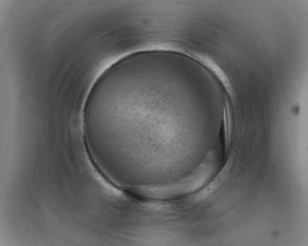 X0000094441380200711081239