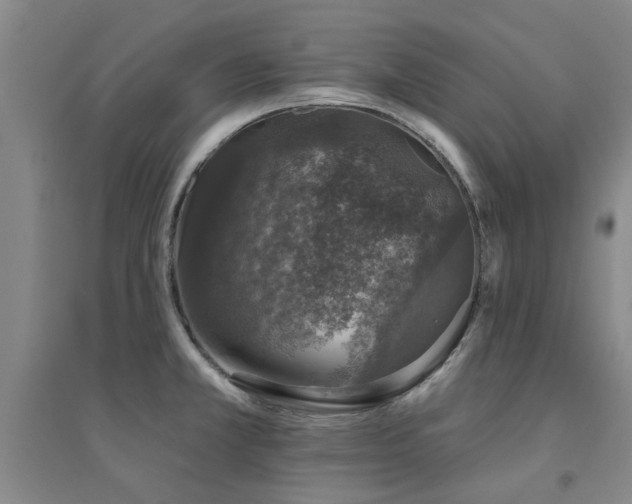 X0000094441381200711081239