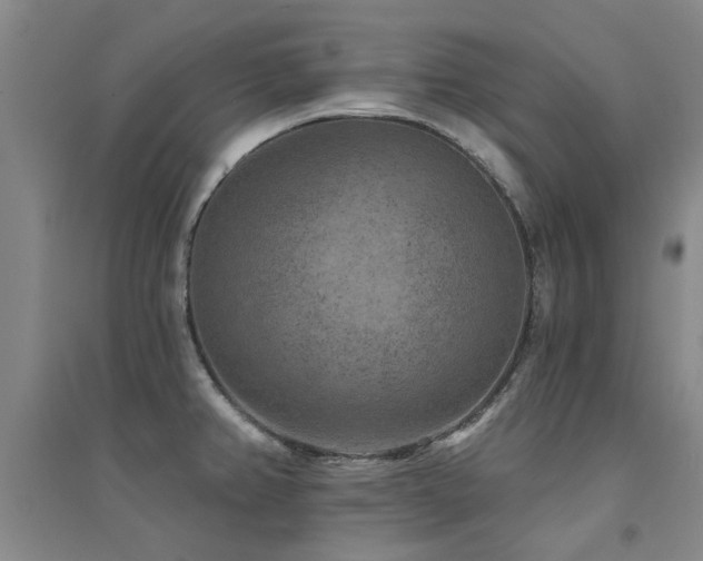 X0000094441382200711081239