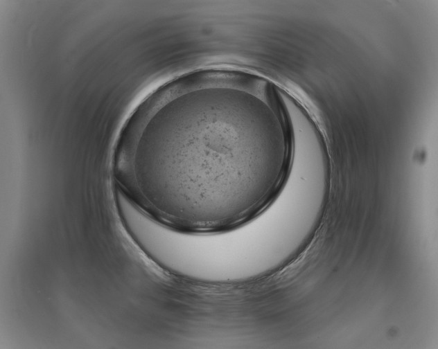 X0000094441384200711081239
