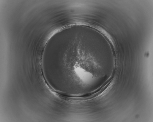 X0000094441385200711081239