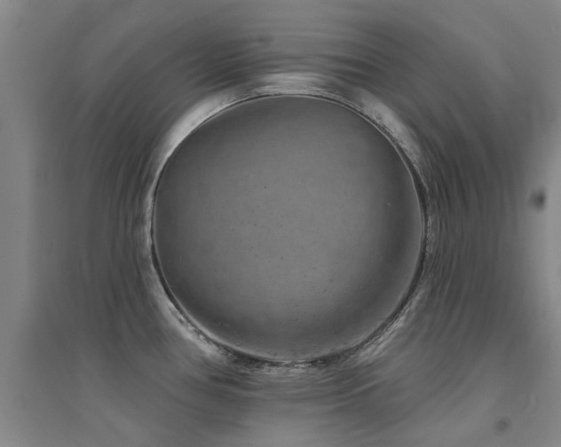 X0000094441386200711081239