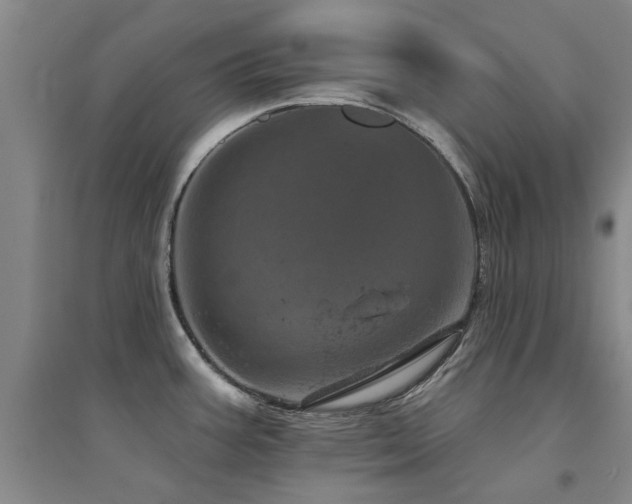 X0000094441387200711081239