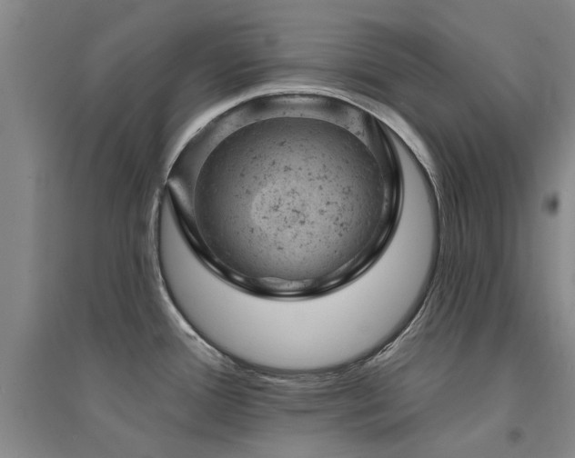 X0000094441388200711081239