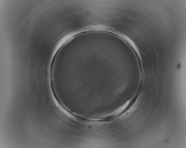 X0000094441389200711081239