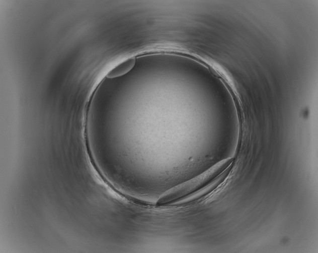 X0000094441390200711081239