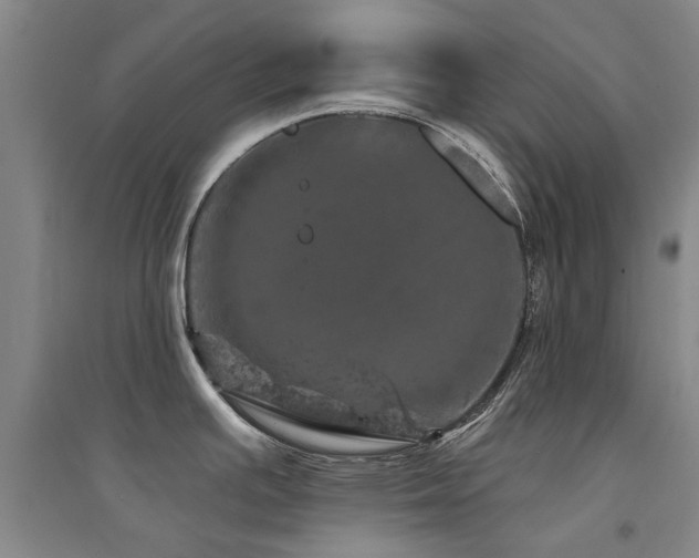 X0000094441391200711081239