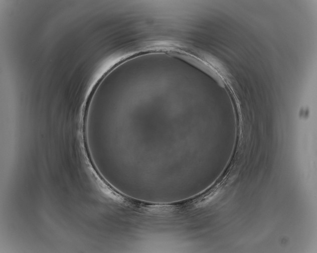 X0000094441392200711081239