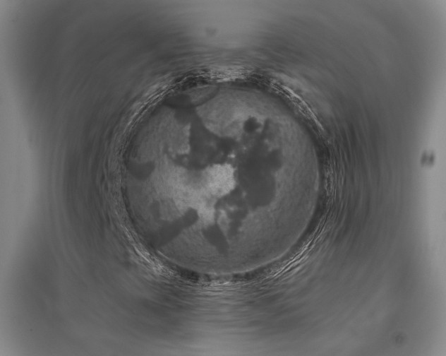 X0000094441393200711081238