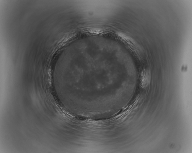 X0000094441394200711081238