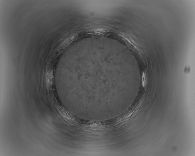 X0000094441395200711081238