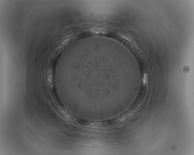 X0000094441396200711081238