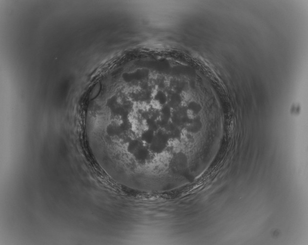 X0000094441397200711081238