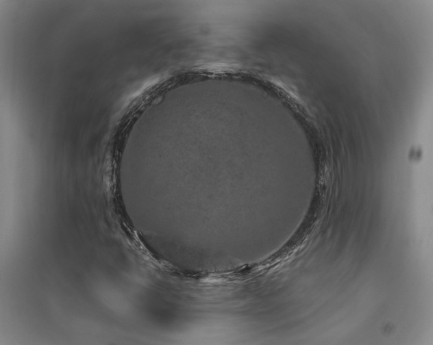 X0000094441398200711081238