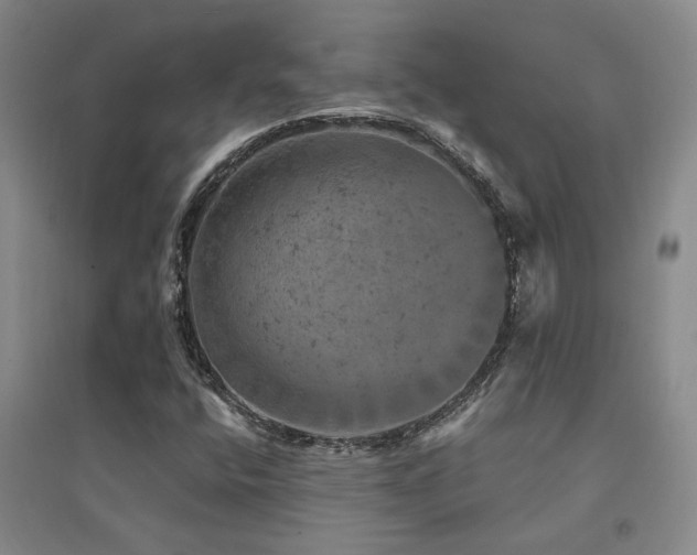 X0000094441400200711081238