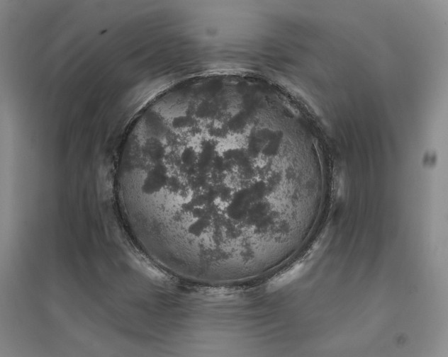 X0000094441401200711081238