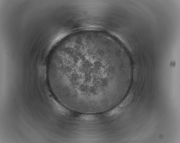 X0000094441402200711081238