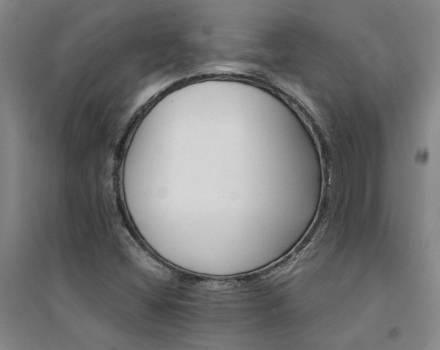 X0000094441404200711081238