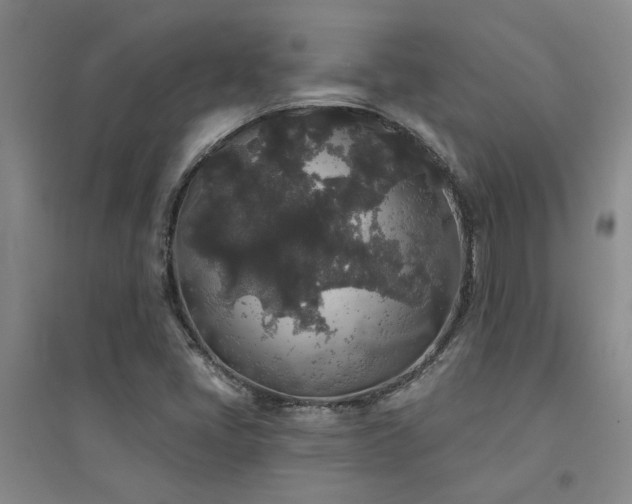 X0000094441405200711081238