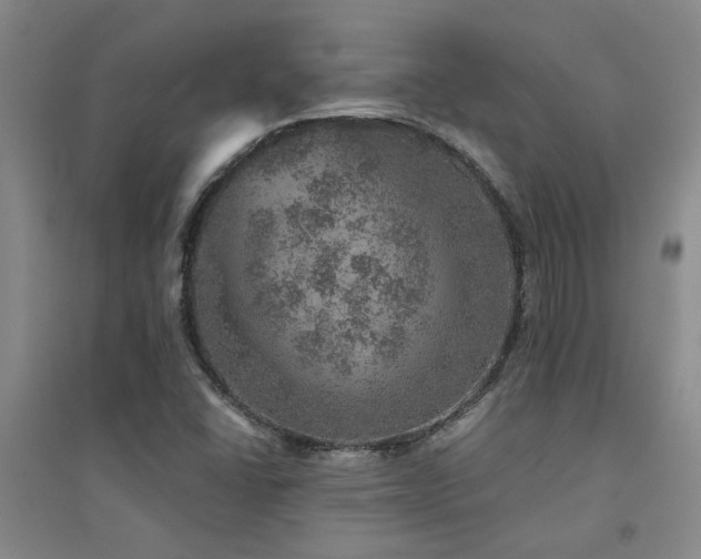 X0000094441406200711081238