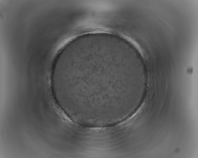 X0000094441407200711081238