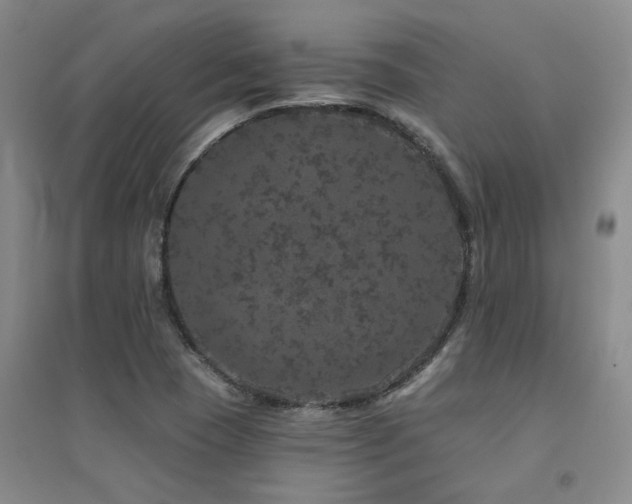 X0000094441409200711081238
