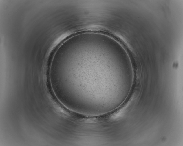 X0000094441410200711081238