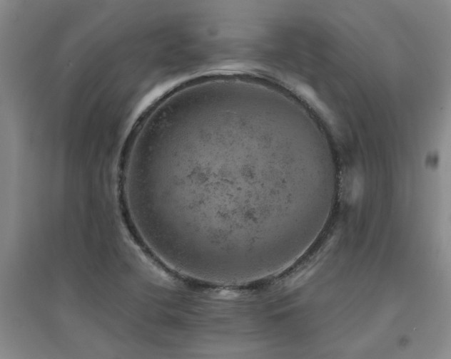 X0000094441412200711081238