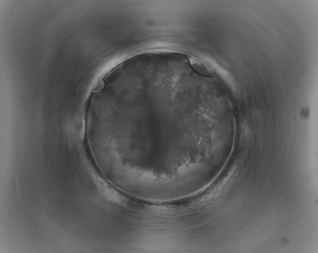 X0000094441413200711081238