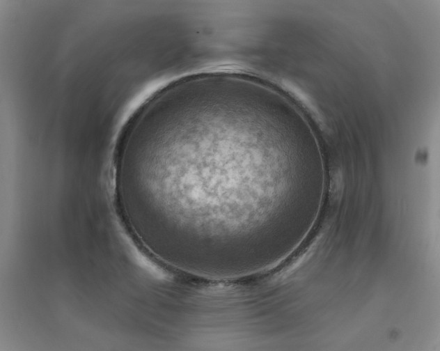 X0000094441414200711081238
