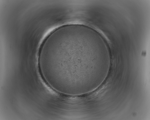X0000094441416200711081238