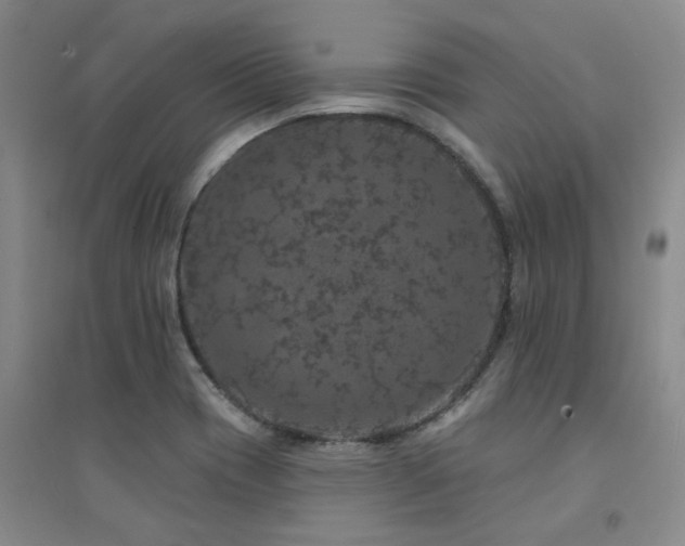 X0000094441417200711081238