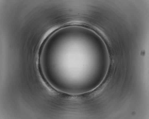 X0000094441418200711081238