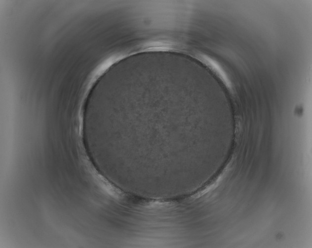 X0000094441419200711081238