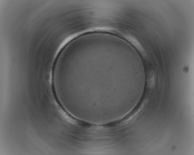 X0000094441420200711081238