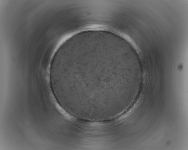 X0000094441421200711081238