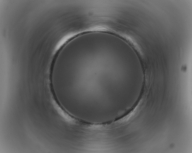 X0000094441422200711081238
