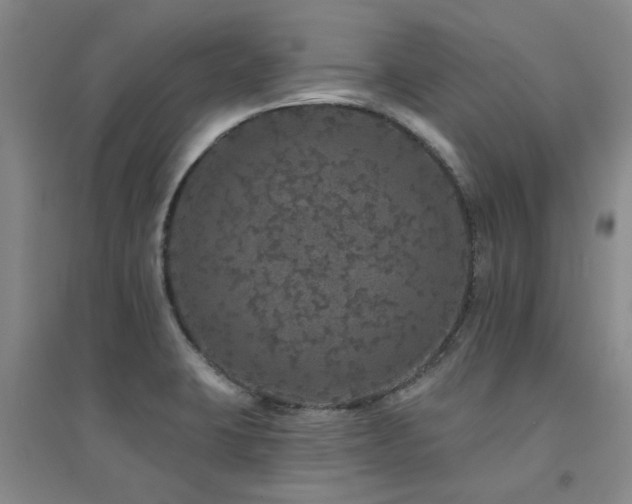 X0000094441423200711081238