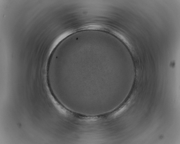 X0000094441426200711081238