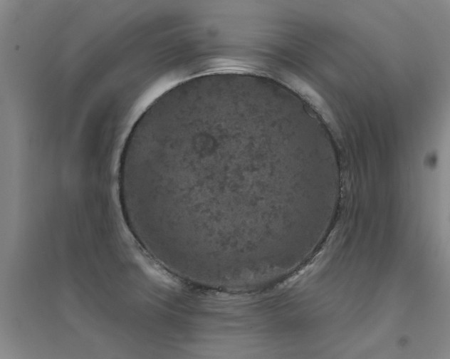 X0000094441427200711081238
