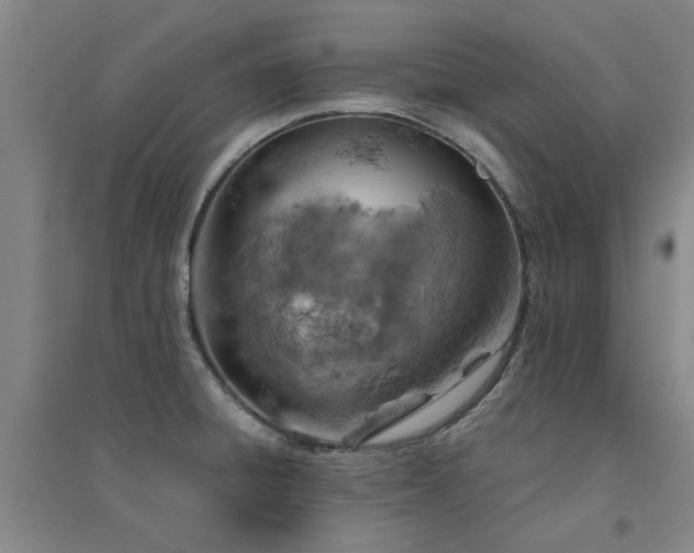 X0000094441428200711081238