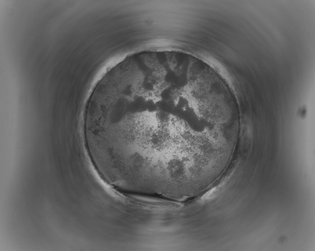 X0000094441429200711081238