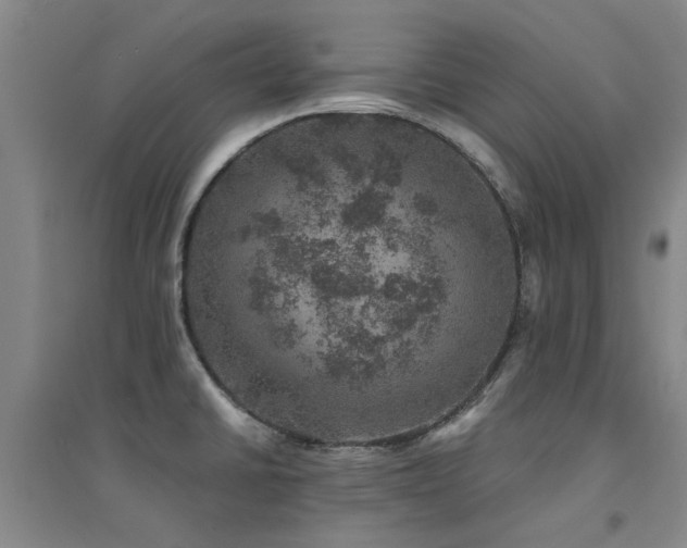 X0000094441430200711081238