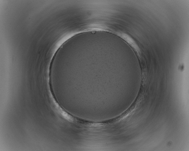 X0000094441431200711081238