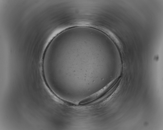 X0000094441432200711081238