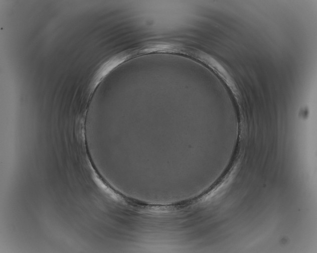 X0000094441433200711081238